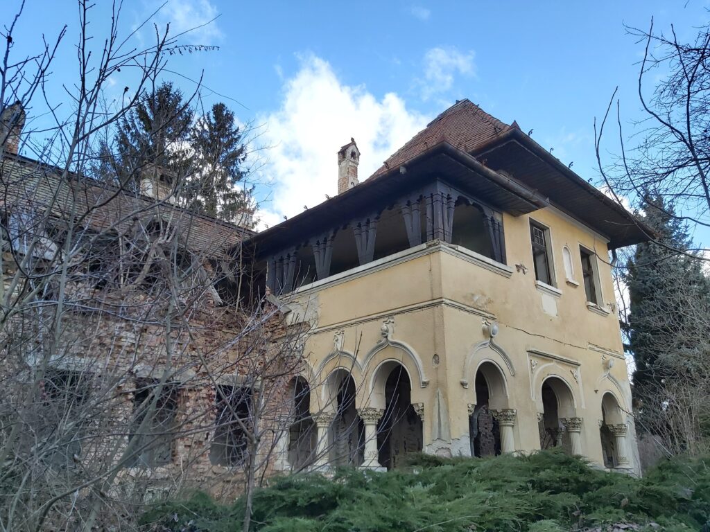 Castelul de vanatoare Telek Juc-Herghelie Cluj Transylvania in Ruins