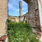 Conacul Kemeny Camarasu Cluj Transylvania in Ruins