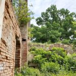 Conacul Kemeny Camarasu Cluj Transylvania in Ruins