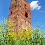 Donjonul Cheresig Bihor Transylvania in Ruins