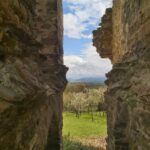 Biserica de piatra Bacainti, Hunedoara, Transylvania in Ruins