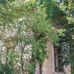 Conacul Herglotz din Herendesti, Timis, Transylvania in Ruins