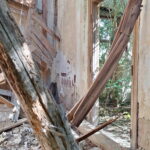 Conacul Herglotz din Herendesti, Timis, Transylvania in Ruins