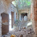Conacul Atanasievici din Valeapai, Caras-Severin, Transylvania in Ruins
