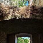 Conacul Atanasievici din Valeapai, Caras-Severin, Transylvania in Ruins