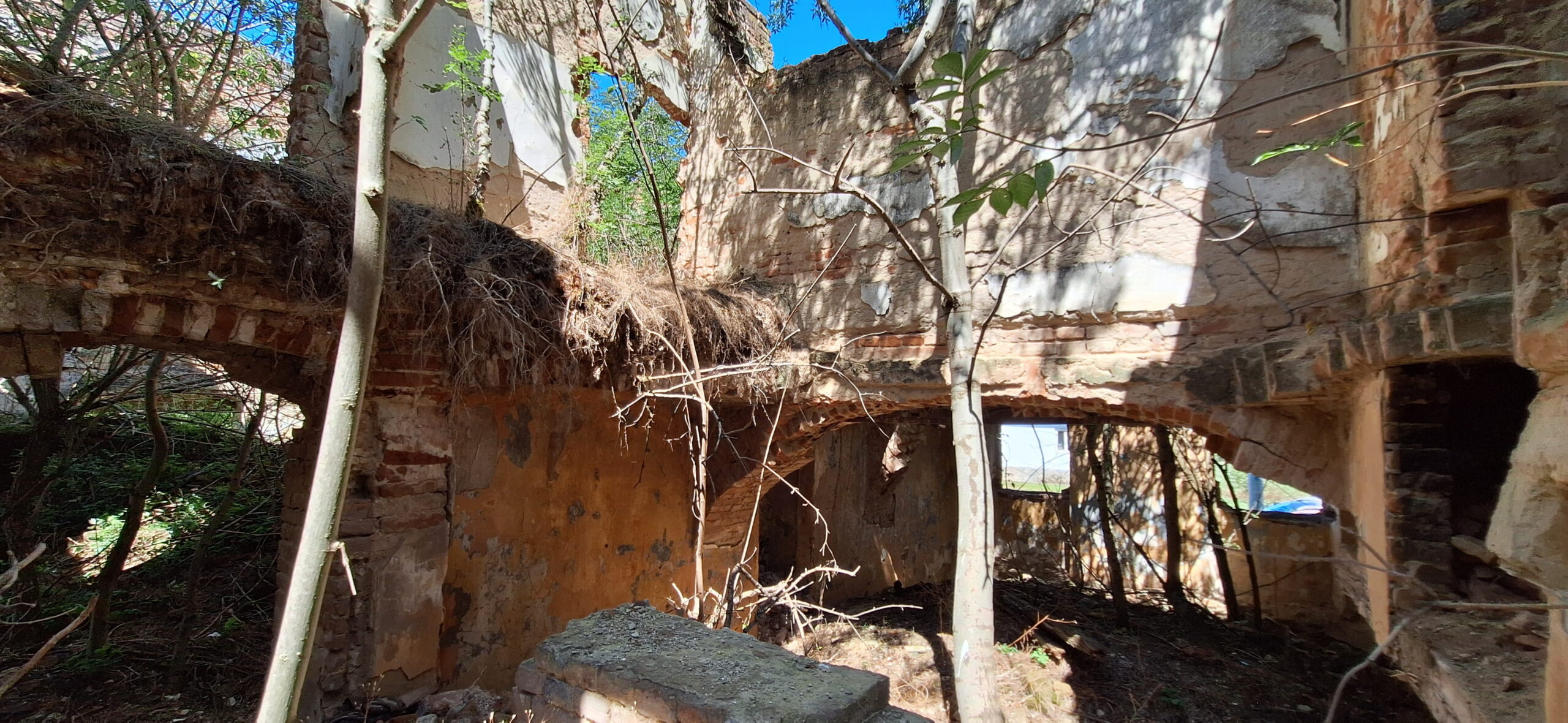 Conacul Atanasievici din Valeapai, Caras-Severin, Transylvania in Ruins