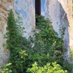 Biserica reformata din Herepea, Mures, Transylvania in Ruins