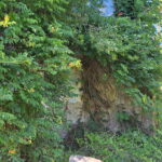 Biserica reformata din Herepea, Mures, Transylvania in Ruins